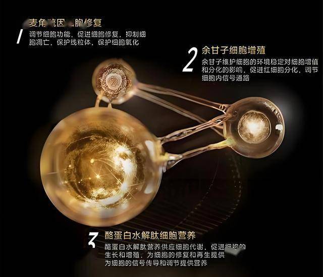 量化交易获取连接曝光，高手们都在用的神器来了！